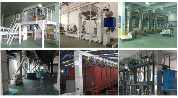 z型斗式提升機食品廠配合包裝機輸送，輸送小麥，碎礦石輸送等現(xiàn)場案例展示。